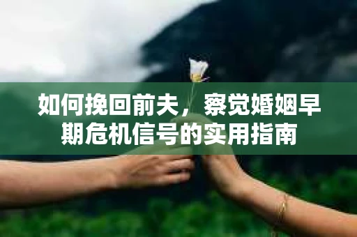 如何挽回前夫，察觉婚姻早期危机信号的实用指南