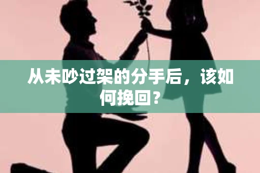 从未吵过架的分手后，该如何挽回？