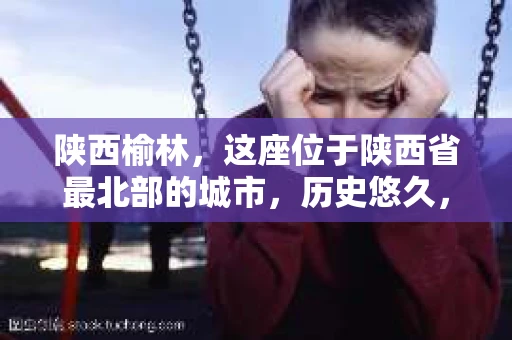 陕西榆林，这座位于陕西省最北部的城市，历史悠久，文化底蕴深厚。然而，随着经济的发展，债务问题也逐渐凸显。那么，当我们在陕西榆林遇到催收问题时，是哪个平台在进行催收呢？今天，我们就来聊聊这个话题。