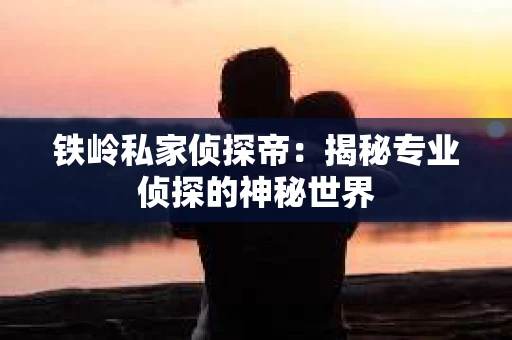 铁岭私家侦探帝：揭秘专业侦探的神秘世界