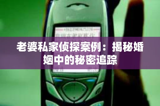 老婆私家侦探案例：揭秘婚姻中的秘密追踪