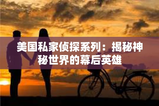 美国私家侦探系列：揭秘神秘世界的幕后英雄
