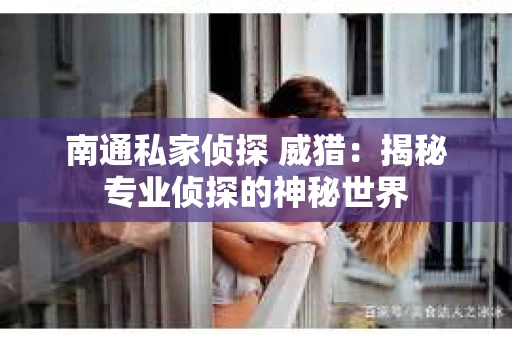 南通私家侦探 威猎：揭秘专业侦探的神秘世界