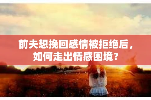 前夫想挽回感情被拒绝后，如何走出情感困境？