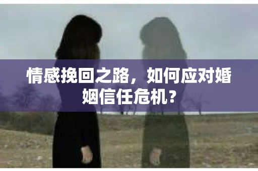 情感挽回之路，如何应对婚姻信任危机？